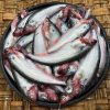 পাবদা (Pabda)